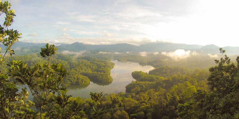 从喂药难题到健康游戏：智信医药如何用游戏化应用重塑家庭健康管理新场景