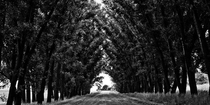 从家庭药箱到临床决策：数字化工具如何重塑医药代表的学术信息传递？