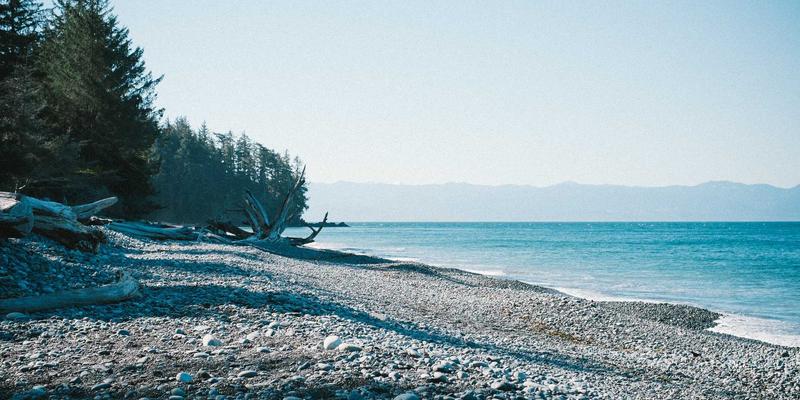 从药品销售到健康管家：智信医药如何赋能零售药店数字化转型