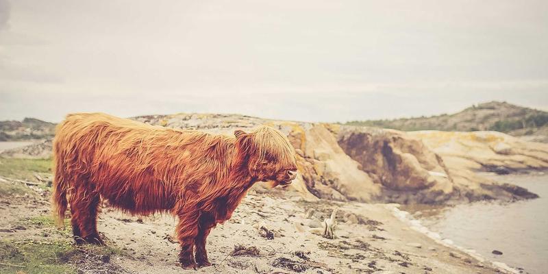 智信医药:智能仓储与物流如何重塑药品销售与健康服务新生态