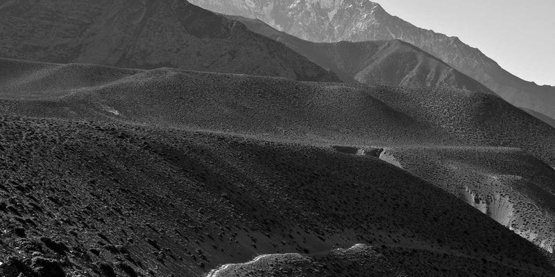 智信医药真实世界研究平台：解锁临床数据价值，驱动中药创新药研发与评价新范式