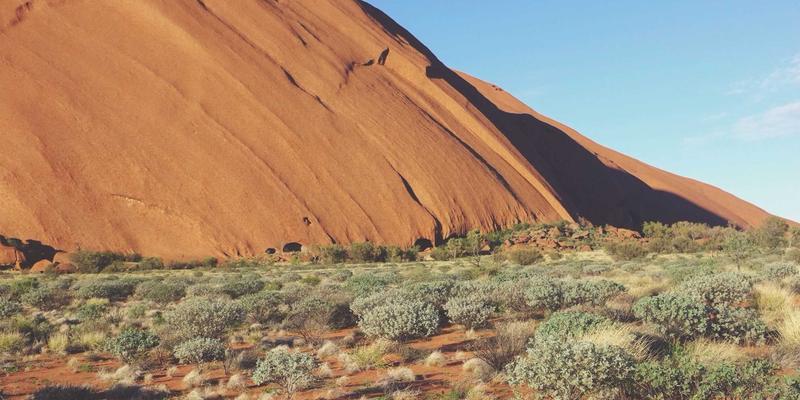 智信医药：重塑慢性病管理新生态，让网上买药成为健康服务新起点