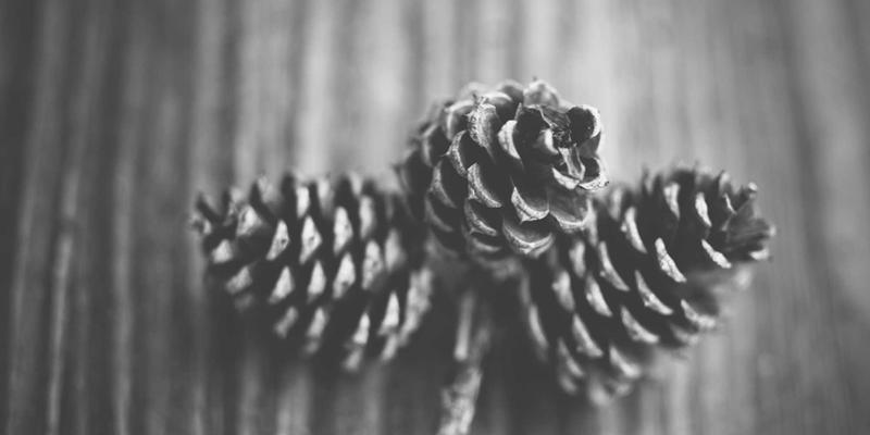 跨境网上买药新选择:智信医药如何安全高效满足全球中医药需求